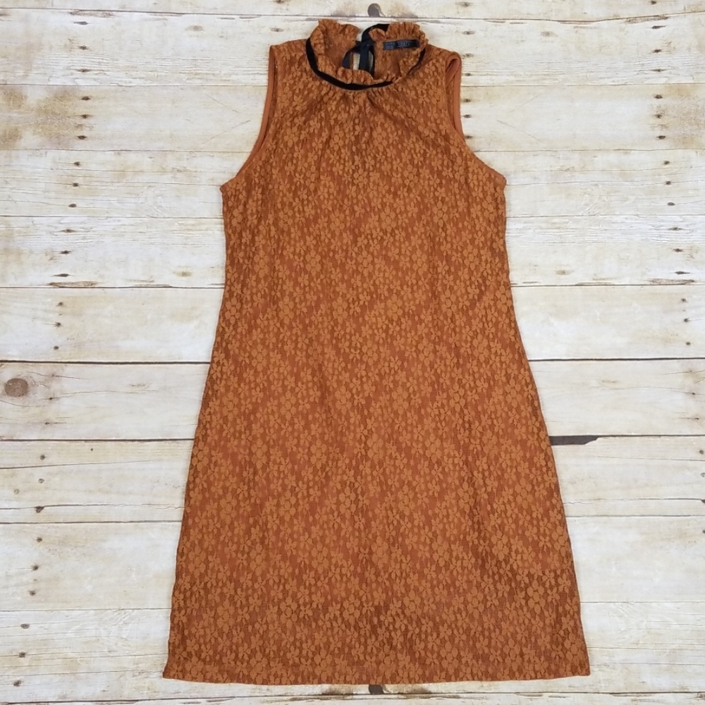 Zara Trafaluc High Collar Lace Layered Dress